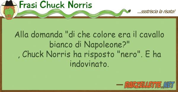 Frasi Chuck Norris domanda "di colore era caval