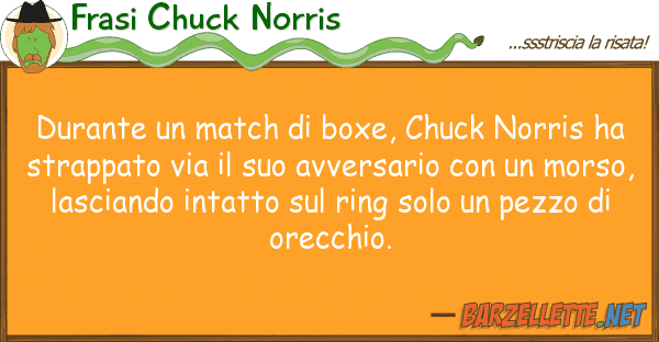 Frasi Chuck Norris durante match boxe, chuck norris h