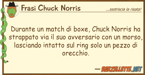 Frasi Chuck Norris durante match boxe, chuck norris h
