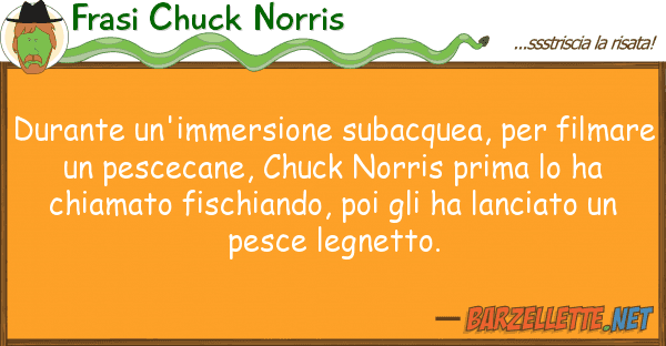 Frasi Chuck Norris durante un'immersione subacquea, fil