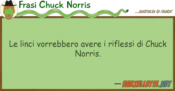 Frasi Chuck Norris linci vorrebbero avere riflessi