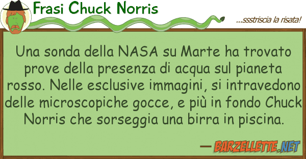 Frasi Chuck Norris sonda nasa marte ha trovato