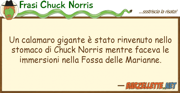 Frasi Chuck Norris calamaro gigante è stato rinvenuto n