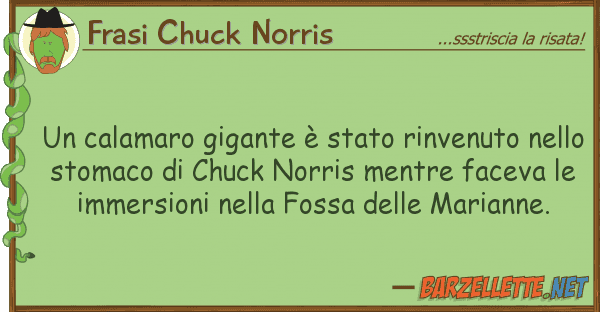 Frasi Chuck Norris calamaro gigante è stato rinvenuto n