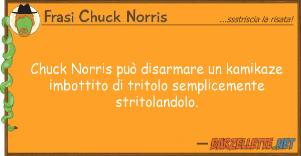Frasi Chuck Norris chuck norris può disarmare kamikaze