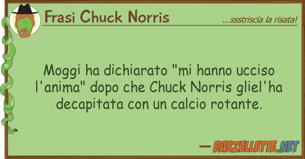 Frasi Chuck Norris moggi ha dichiarato "mi hanno ucciso l'a