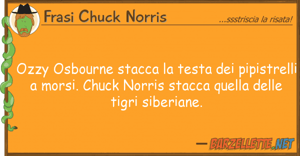Frasi Chuck Norris ozzy osbourne stacca testa pipist