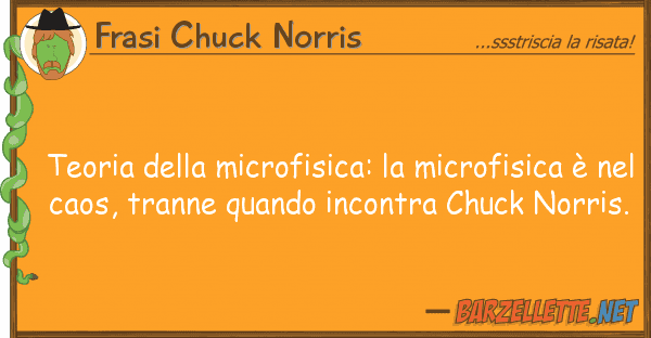 Frasi Chuck Norris teoria microfisica: microfisica