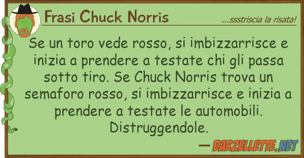Frasi Chuck Norris toro vede rosso, imbizzarrisce