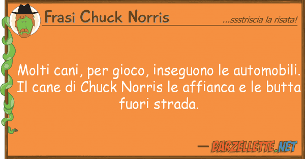 Frasi Chuck Norris molti cani, gioco, inseguono auto