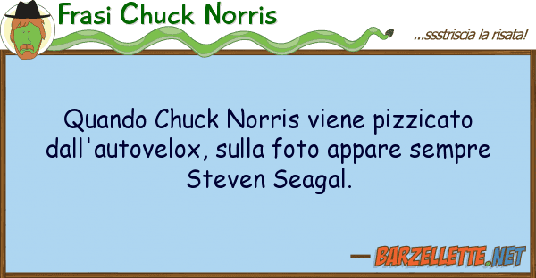 Frasi Chuck Norris quando chuck norris viene pizzicato