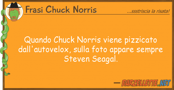 Frasi Chuck Norris quando chuck norris viene pizzicato
