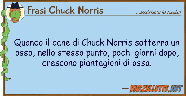 Frasi Chuck Norris quando cane chuck norris sotterra