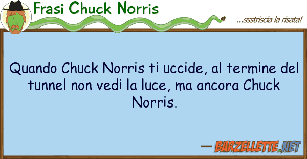 Frasi Chuck Norris quando chuck norris uccide, termin