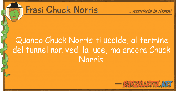 Frasi Chuck Norris quando chuck norris uccide, termin