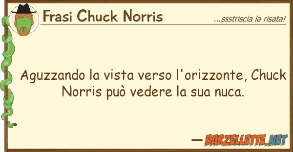 Frasi Chuck Norris aguzzando vista verso l'orizzonte, ch