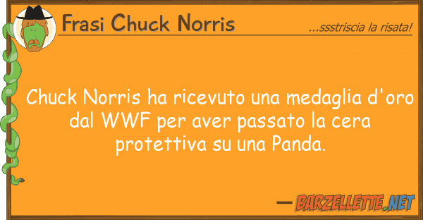 Frasi Chuck Norris chuck norris ha ricevuto medaglia d'