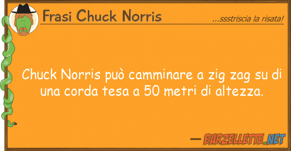 Frasi Chuck Norris chuck norris può camminare zig zag