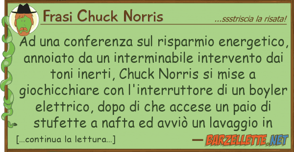 Frasi Chuck Norris conferenza risparmio energeti