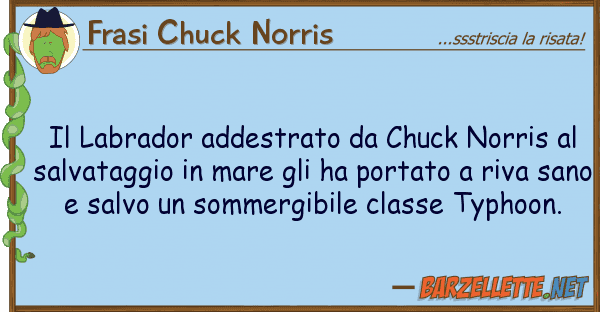 Frasi Chuck Norris labrador addestrato chuck norris