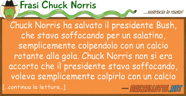 Frasi Chuck Norris chuck norris ha salvato presidente bu