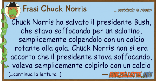 Frasi Chuck Norris chuck norris ha salvato presidente bu