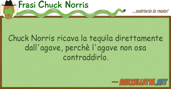 Frasi Chuck Norris chuck norris ricava tequila direttame