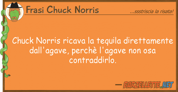 Frasi Chuck Norris chuck norris ricava tequila direttame