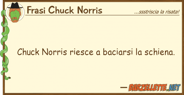 Frasi Chuck Norris chuck norris riesce baciarsi schien