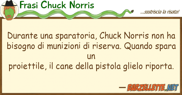 Frasi Chuck Norris durante sparatoria, chuck norris