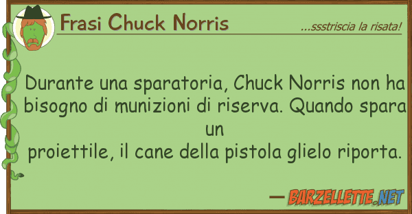 Frasi Chuck Norris durante sparatoria, chuck norris