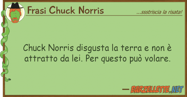 Frasi Chuck Norris chuck norris disgusta terra è