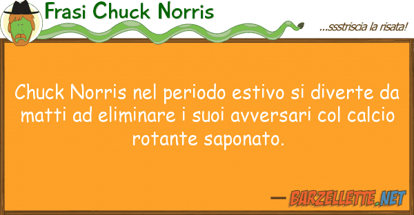 Frasi Chuck Norris chuck norris periodo estivo diver
