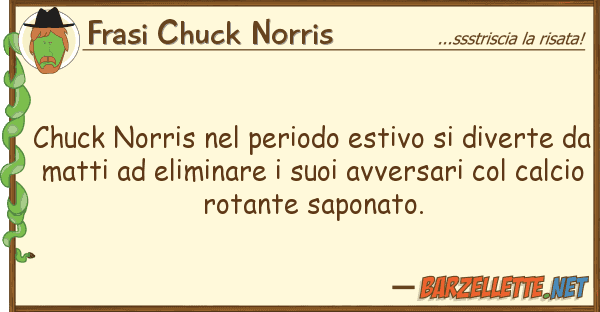 Frasi Chuck Norris chuck norris periodo estivo diver