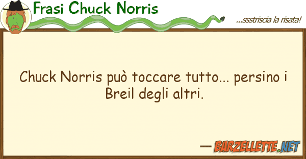 Frasi Chuck Norris chuck norris può toccare tutto... persi