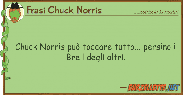 Frasi Chuck Norris chuck norris può toccare tutto... persi
