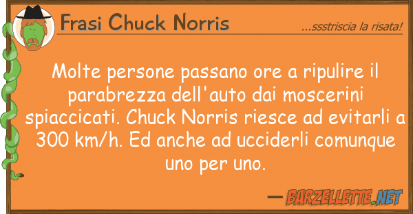 Frasi Chuck Norris molte persone passano ore ripulire