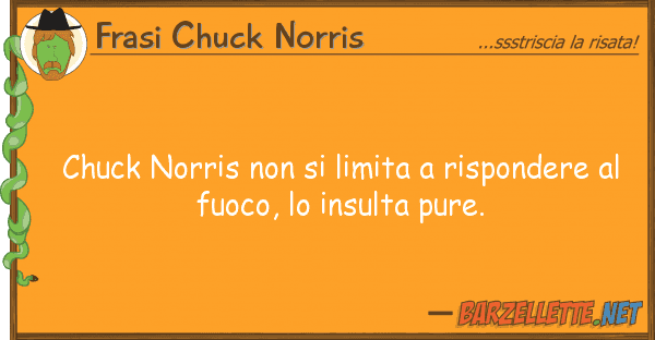 Frasi Chuck Norris chuck norris limita rispondere
