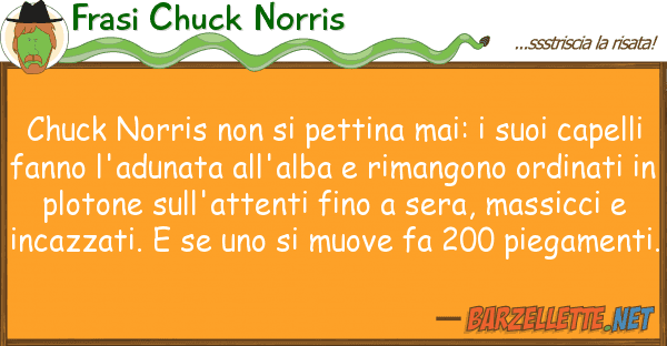 Frasi Chuck Norris chuck norris pettina mai:
