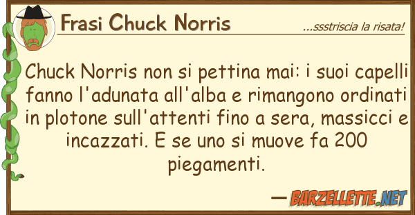 Frasi Chuck Norris chuck norris pettina mai: