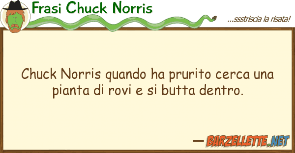 Frasi Chuck Norris chuck norris quando ha prurito cerca