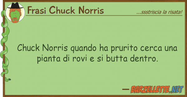 Frasi Chuck Norris chuck norris quando ha prurito cerca