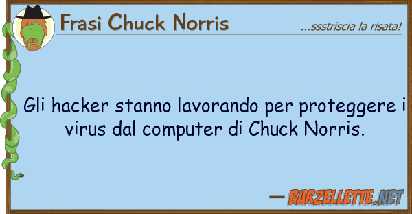 Frasi Chuck Norris hacker stanno lavorando protegge