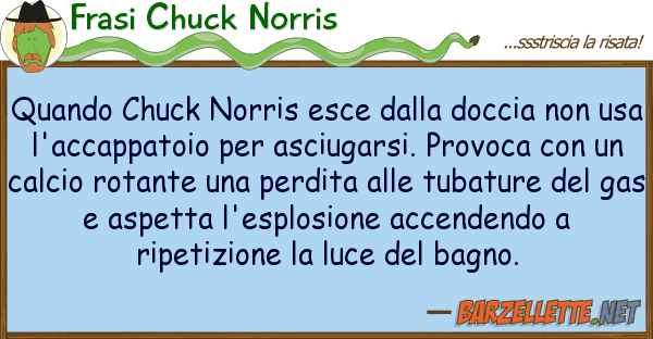 Frasi Chuck Norris quando chuck norris esce doccia no