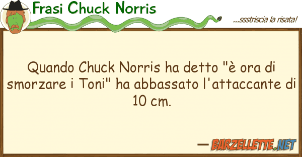 Frasi Chuck Norris quando chuck norris ha detto "è ora