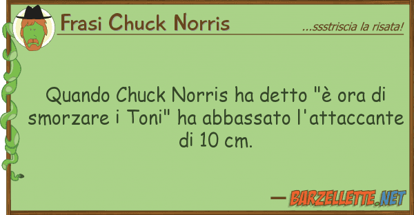 Frasi Chuck Norris quando chuck norris ha detto "è ora