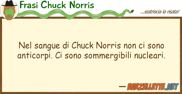 Frasi Chuck Norris sangue chuck norris sono