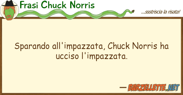 Frasi Chuck Norris sparando all'impazzata, chuck norris ha