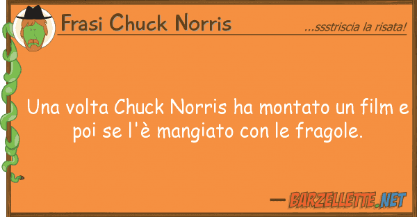 Frasi Chuck Norris volta chuck norris ha montato fil