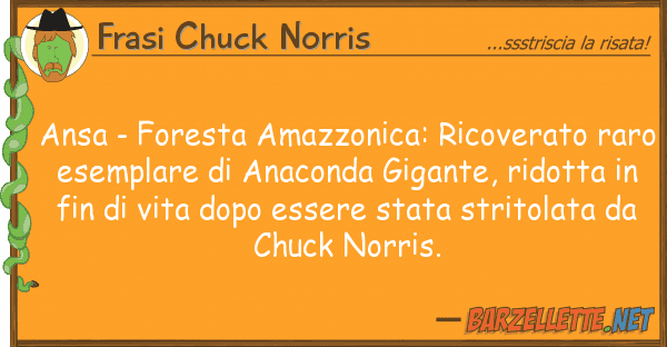 Frasi Chuck Norris ansa - foresta amazzonica: ricoverato ra